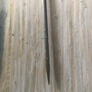 40 gauge Star Sparrow felting needle - Hot Blue - Image 4