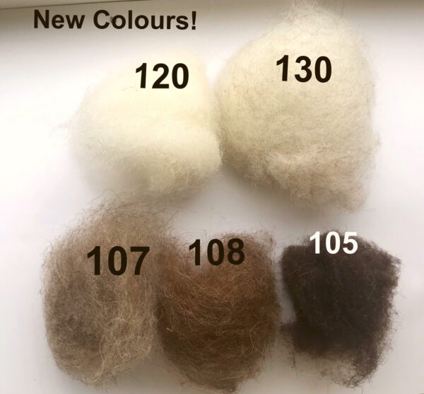 Swiss Mountain Sheep - Dyed Batt - Bergschaf - Valois - 27 micron - 50 gram units