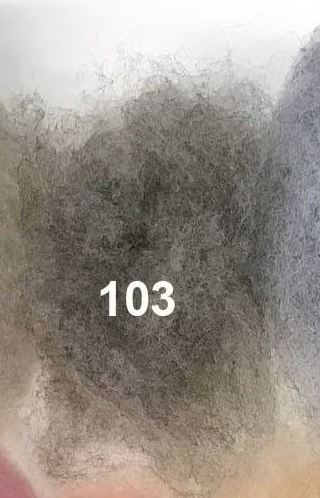 Swiss Mountain Sheep - Dyed Batt - Bergschaf - Valois - 27 micron - 50 gram units