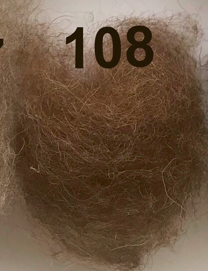 Swiss Mountain Sheep - Dyed Batt - Bergschaf - Valois - 27 micron - 50 gram units